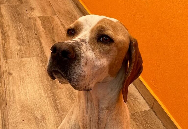 multimedia-foto82608-160-1