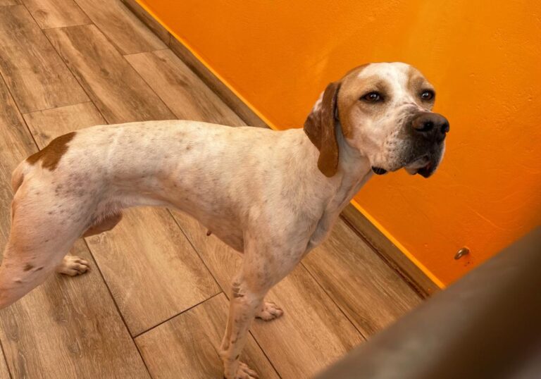 multimedia-foto82611-160-1