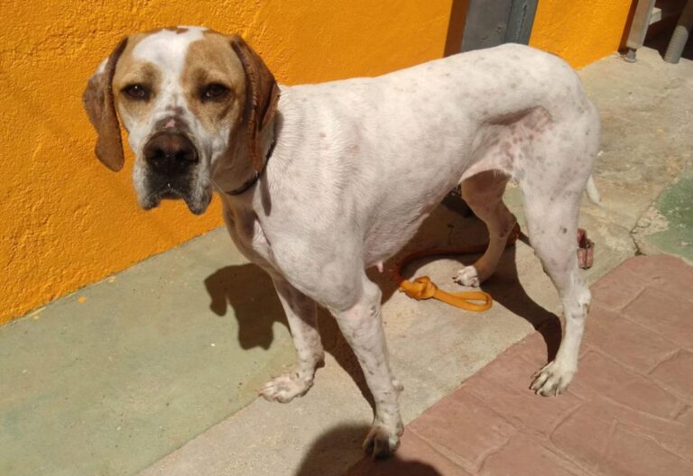 multimedia-foto82613-161-1