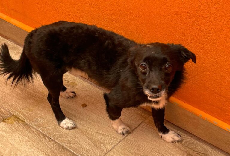 multimedia-foto82659-18-1