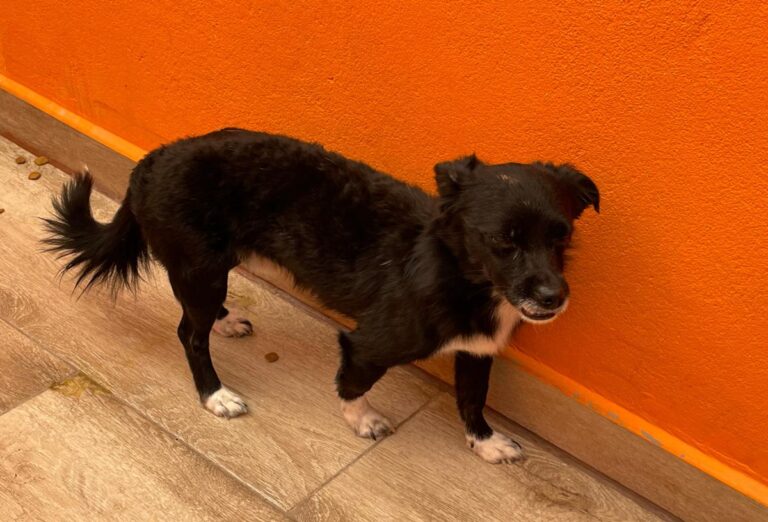 multimedia-foto82661-18-1