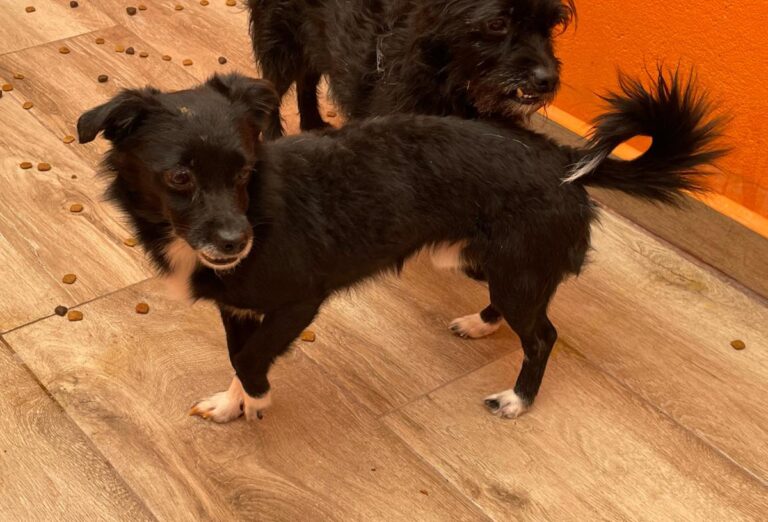 multimedia-foto82663-18-1