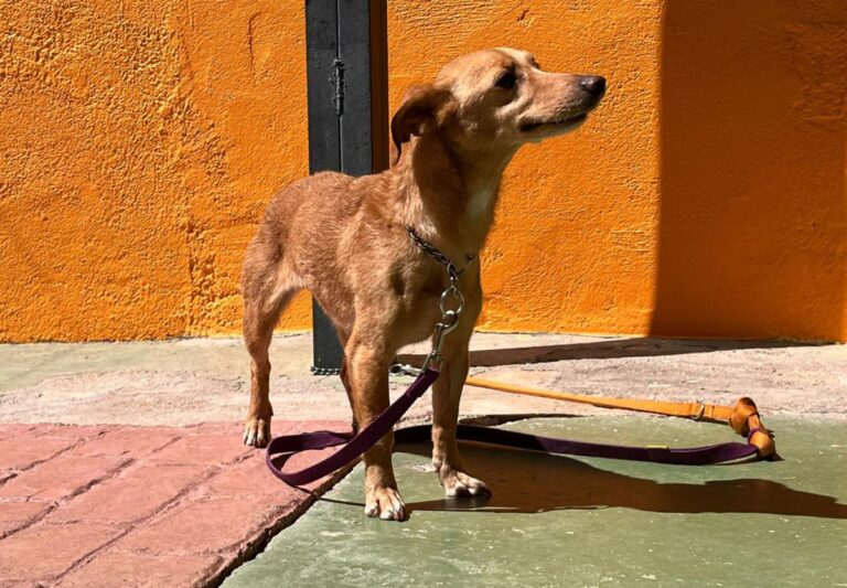 multimedia-foto82670-66-1