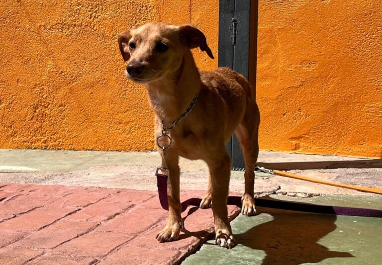 multimedia-foto82671-66-1