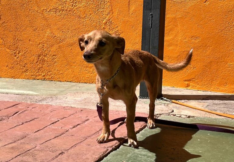 multimedia-foto82672-66-1