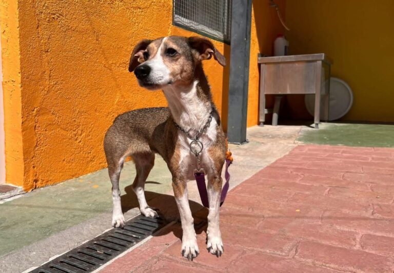 multimedia-foto82674-128-1