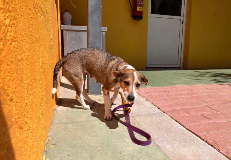 multimedia-foto82675-129-1