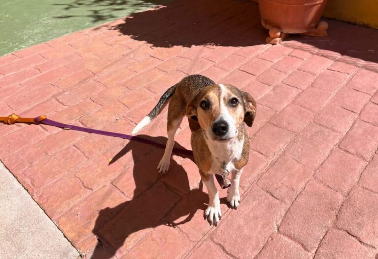 multimedia-foto82676-129-1