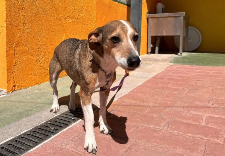 multimedia-foto82677-129-1