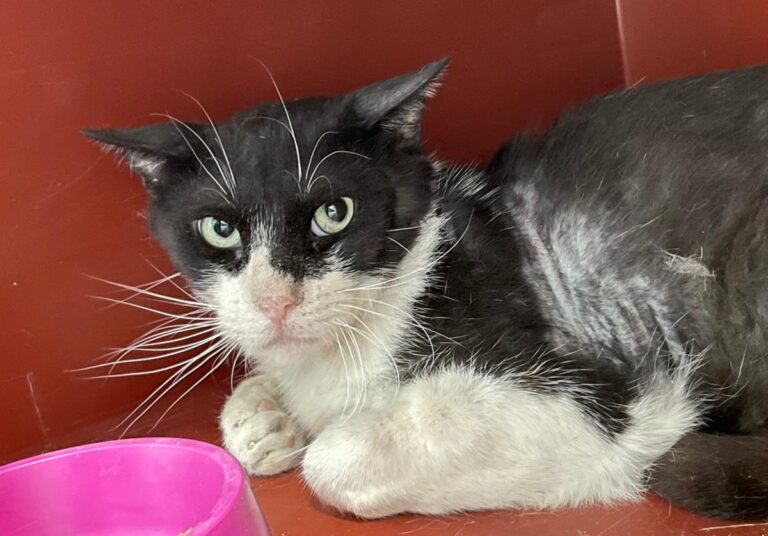 multimedia-foto82681-537-1