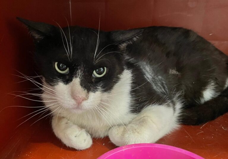 multimedia-foto82683-537-1