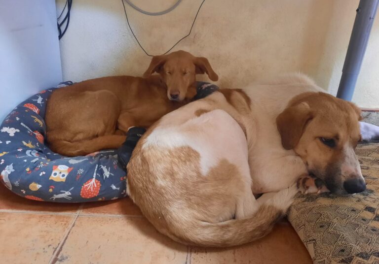 multimedia-foto82723-929-1