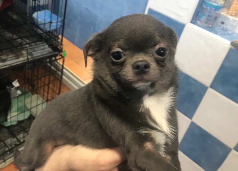 multimedia-foto82727-779-1