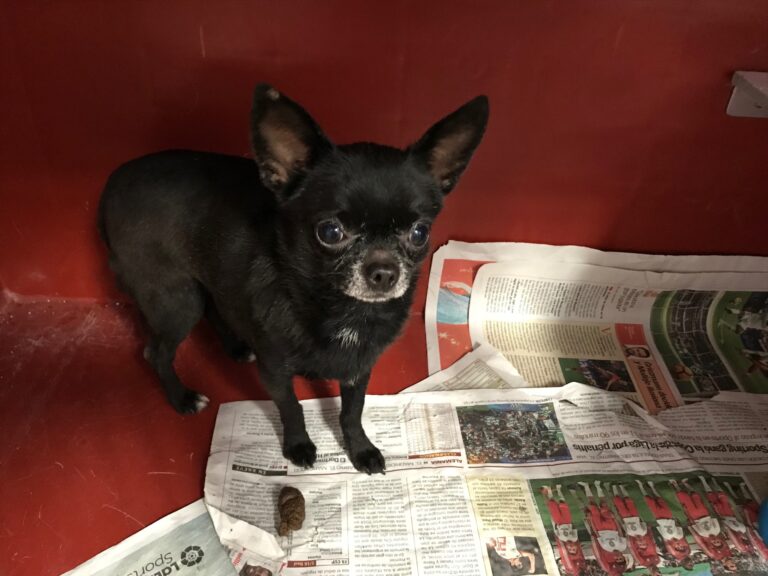 multimedia-foto82729-24-1