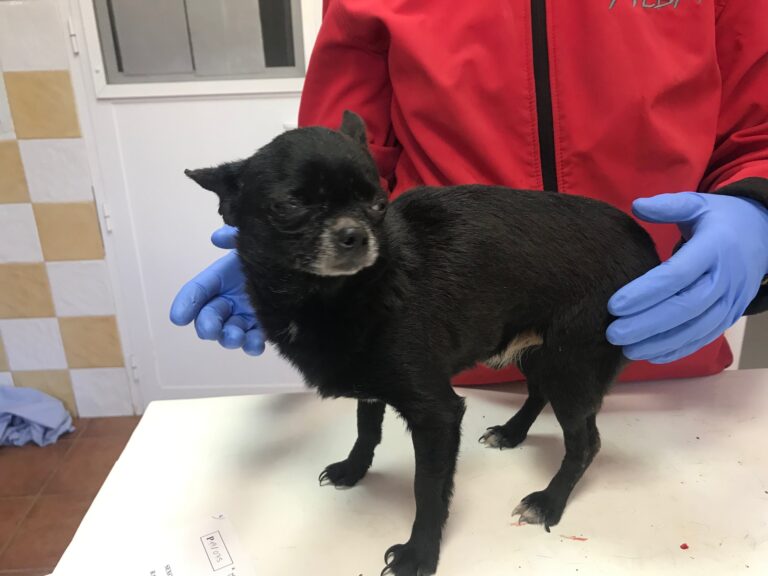 multimedia-foto82730-24-1