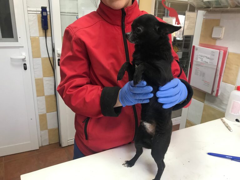 multimedia-foto82731-24-1