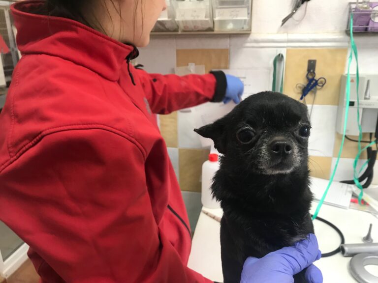 multimedia-foto82732-25-1