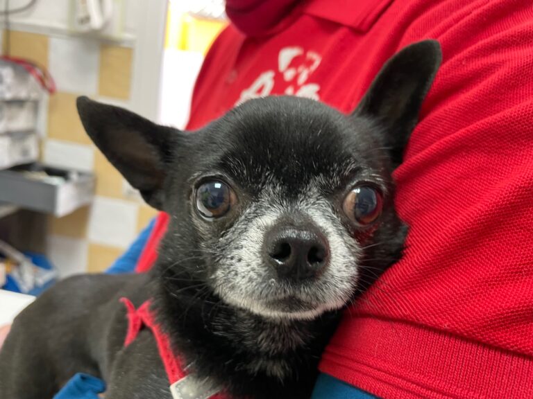 multimedia-foto82733-25-1