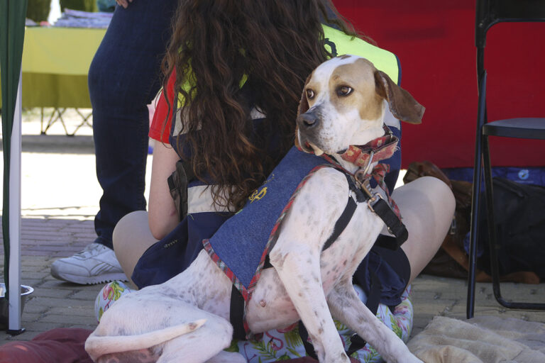 multimedia-foto82762-554-1