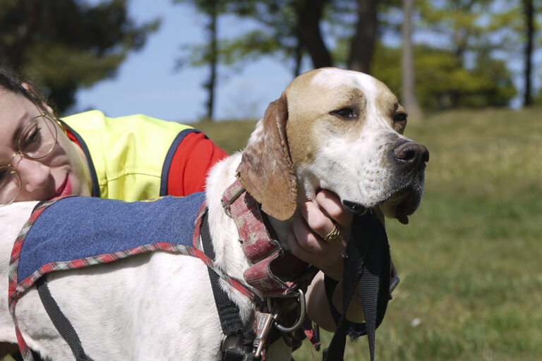 multimedia-foto82763-554-1