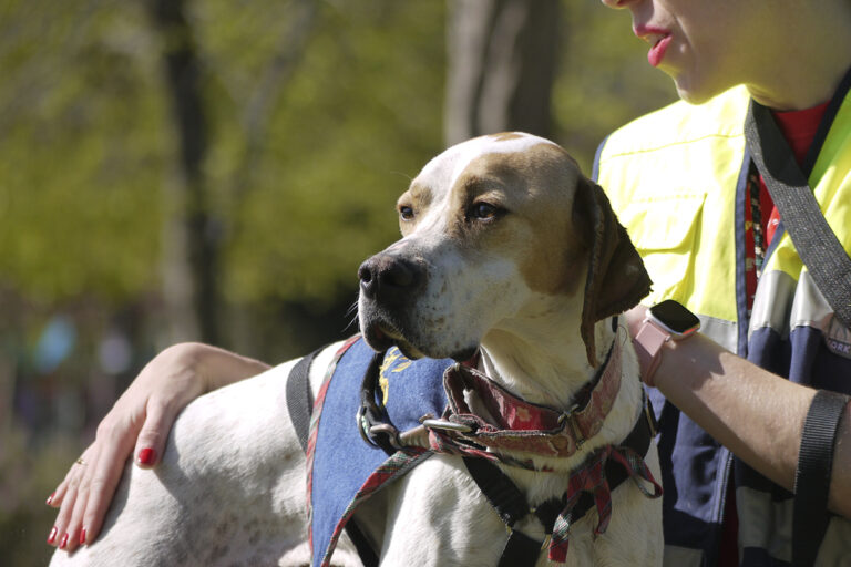 multimedia-foto82766-555-1