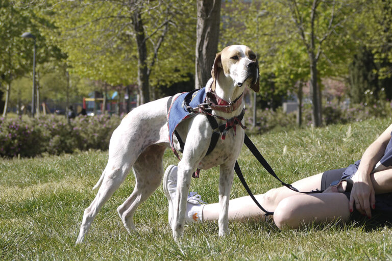 multimedia-foto82767-555-1