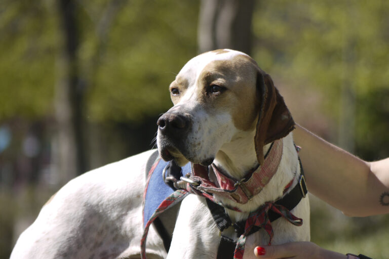 multimedia-foto82768-555-1