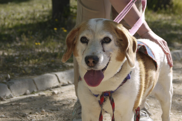 multimedia-foto82771-512-1