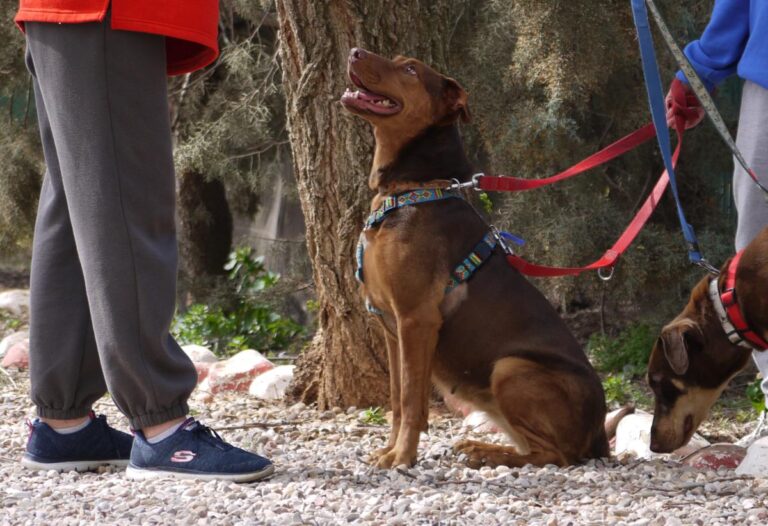 multimedia-foto82779-829-1