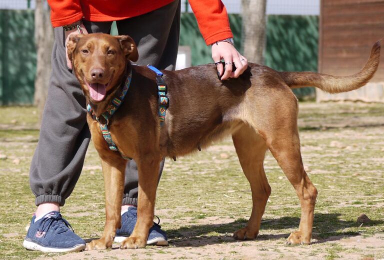 multimedia-foto82780-830-1