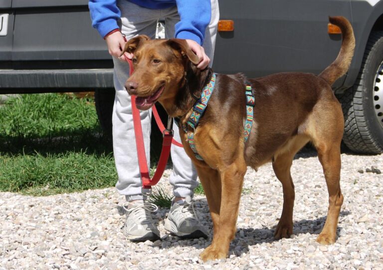 multimedia-foto82781-830-1