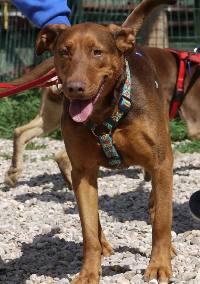 multimedia-foto82782-830-1