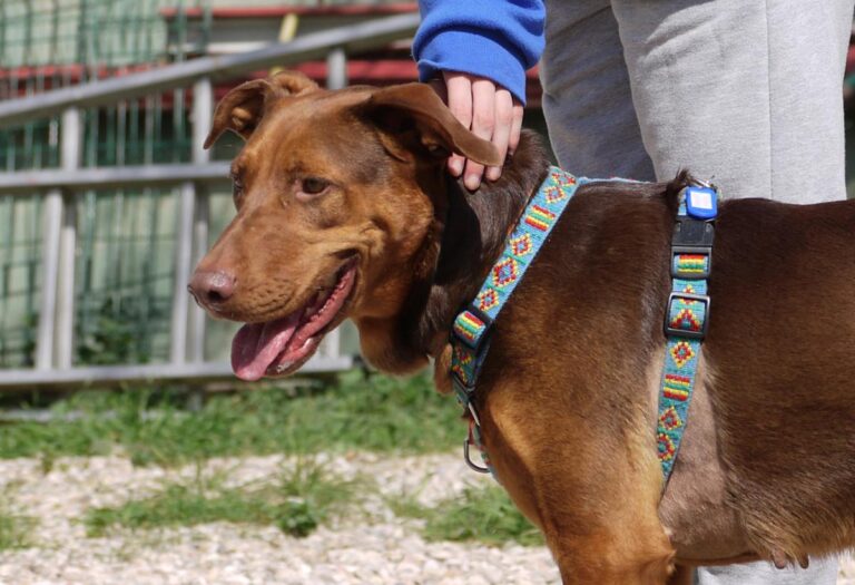 multimedia-foto82784-830-1