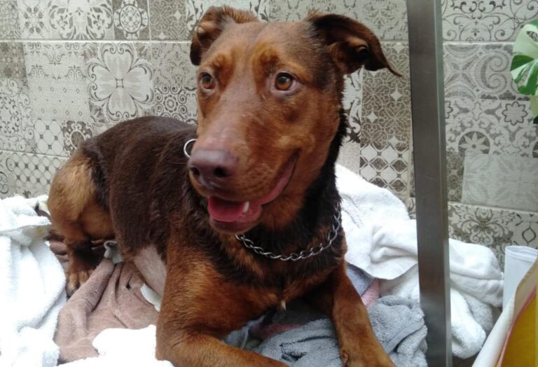 multimedia-foto82786-831-1