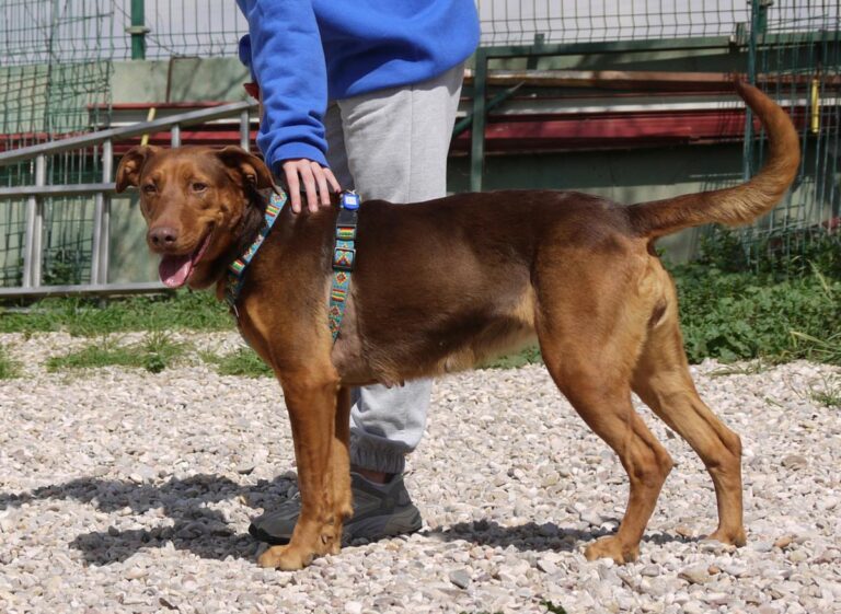 multimedia-foto82787-831-1