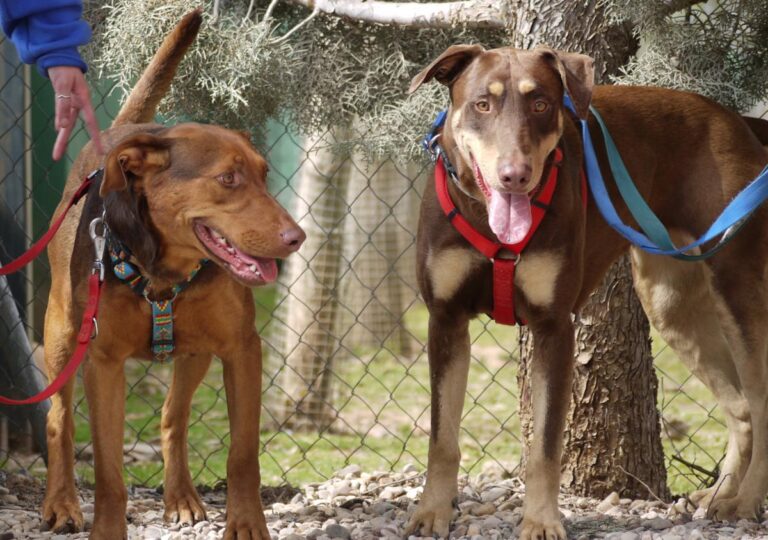 multimedia-foto82788-831-1