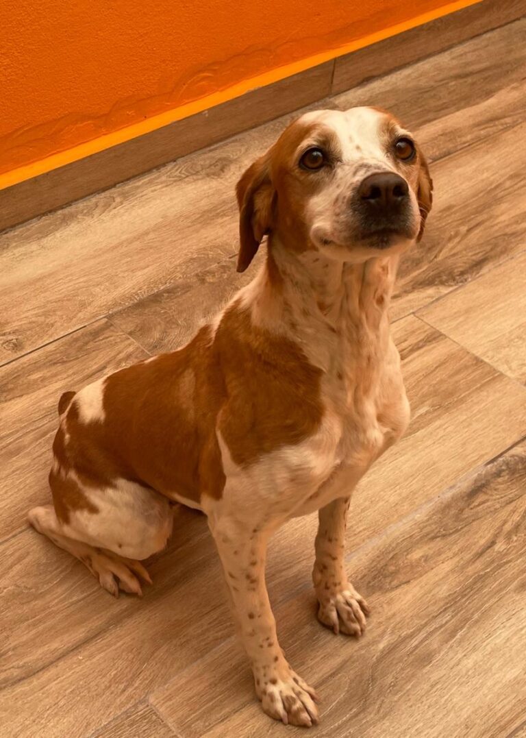 multimedia-foto82838-143-1