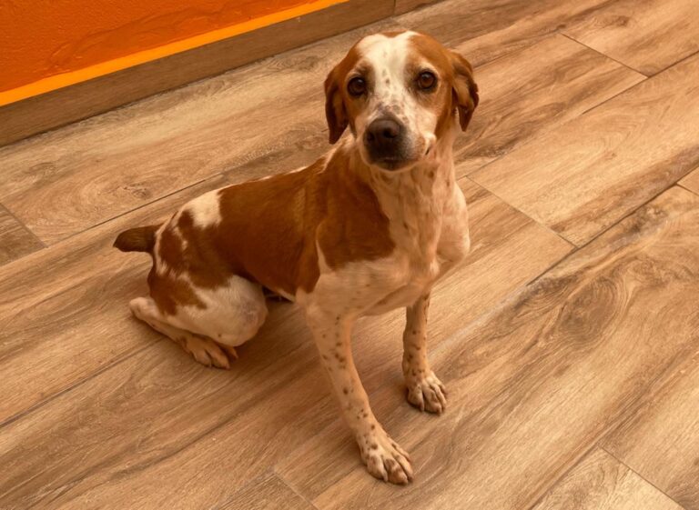 multimedia-foto82839-143-1