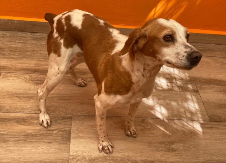 multimedia-foto82840-143-1