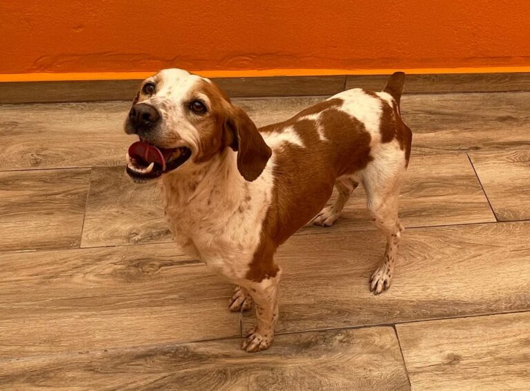 multimedia-foto82841-143-1