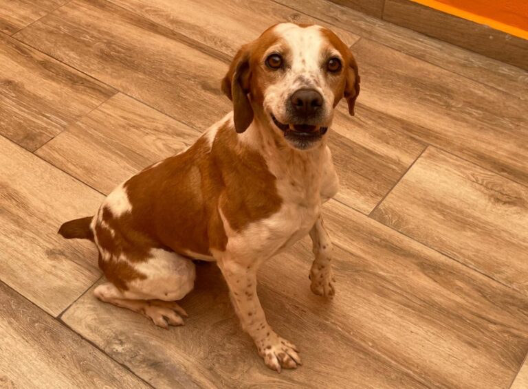 multimedia-foto82843-144-1