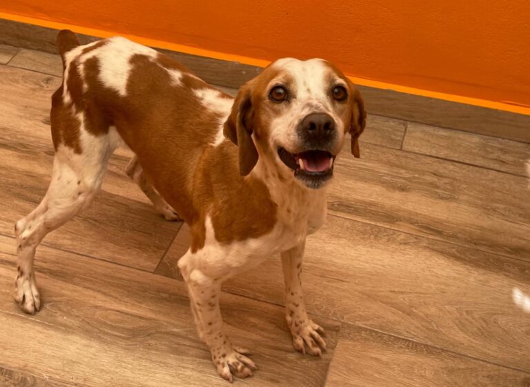 multimedia-foto82844-144-1