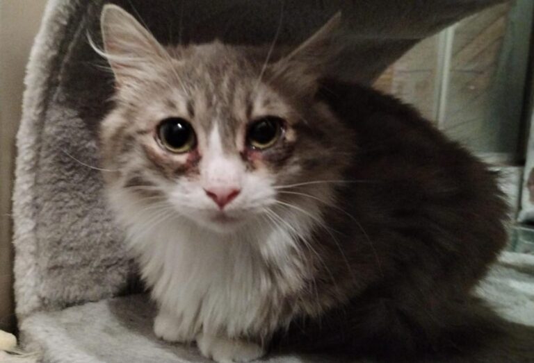 multimedia-foto82879-757-1