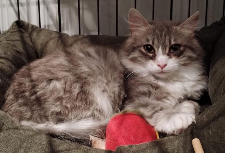 multimedia-foto82880-757-1