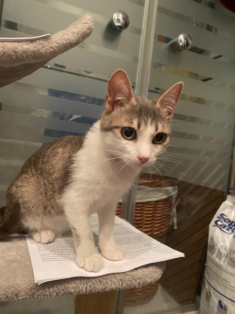 multimedia-foto82881-862-1