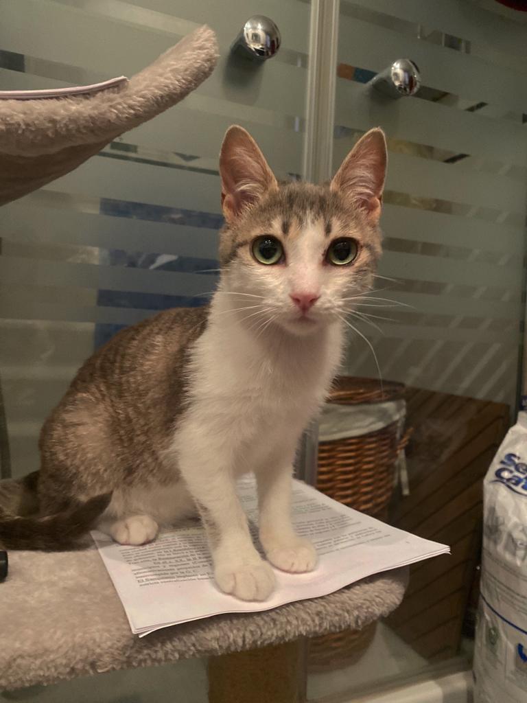 multimedia-foto82882-862-1