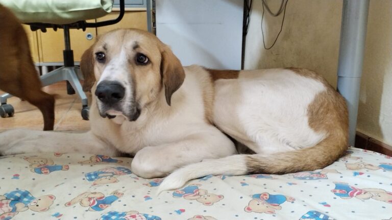 multimedia-foto82961-126-1