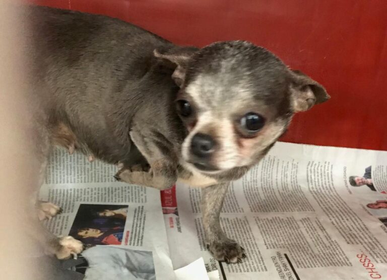 multimedia-foto82971-458-1