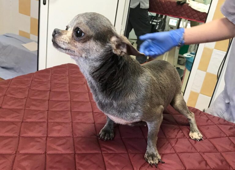 multimedia-foto82972-458-1