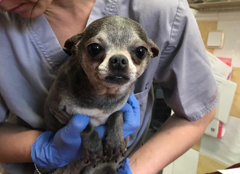 multimedia-foto82973-458-1